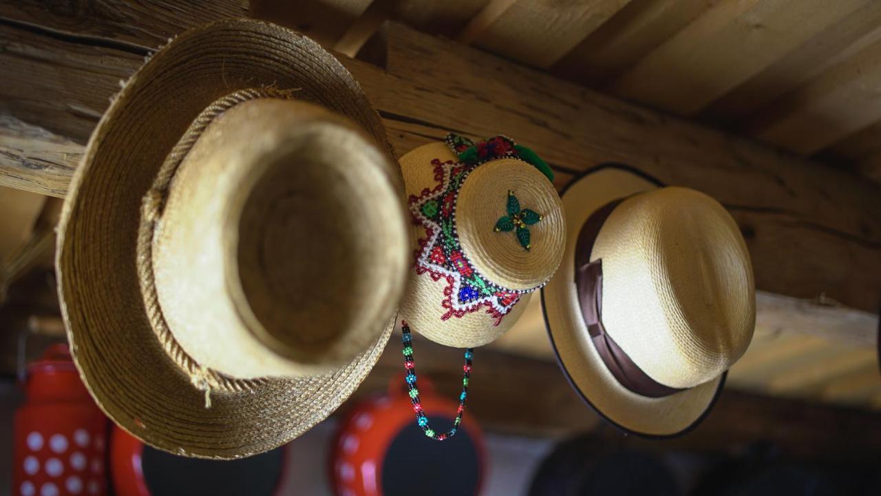 Iz de Maramures Surdesti  Exterior foto