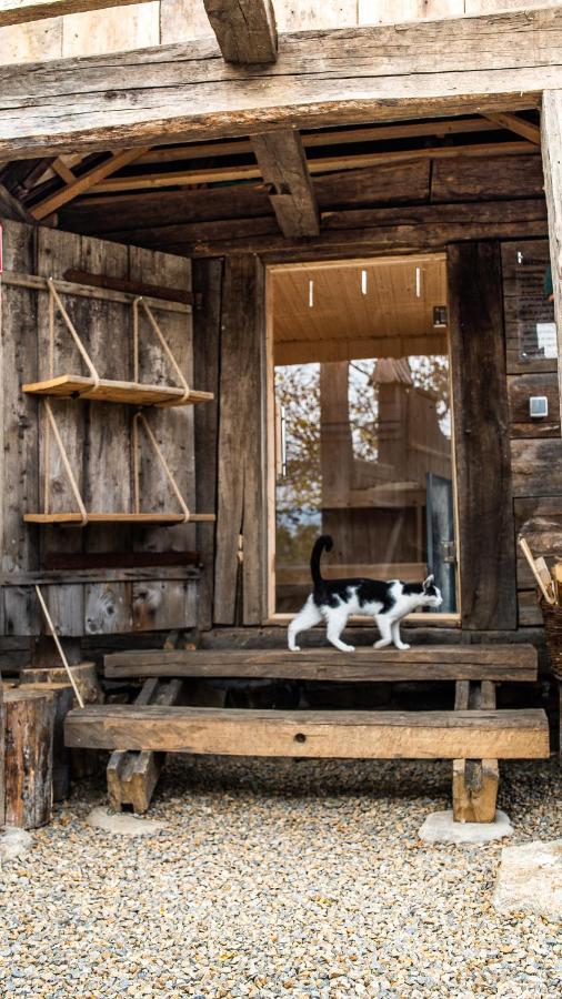 Iz de Maramures Surdesti  Exterior foto